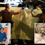 Agente aposentado do FBI pede testes rápidos de DNA no caso Nancy Guthrie, enfatiza corrida contra o relógio: 'Cada hora importa'