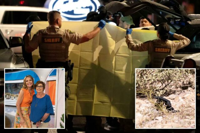 Agente aposentado do FBI pede testes rápidos de DNA no caso Nancy Guthrie, enfatiza corrida contra o relógio: 'Cada hora importa'
