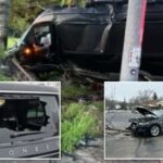 Agitadores enlouquecidos atacando veículos do DHS em um ritmo alarmante: 'Incitamento à violência'