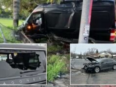 Agitadores enlouquecidos atacando veículos do DHS em um ritmo alarmante: ‘Incitamento à violência’ Agitadores enlouquecidos atacando veículos do DHS em um ritmo alarmante: 'Incitamento à violência'