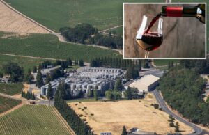 Ainda mais vinícolas da Califórnia fecharão ou fecharão em breve, à medida que a indústria for esmagada por grandes mudanças nos hábitos de consumo Ainda mais vinícolas da Califórnia fecharão ou fecharão em breve, à medida que a indústria for esmagada por grandes mudanças nos hábitos de consumo