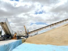 Além do excesso: os problemas de lucro da GrainCorp são mais profundos do que os preços globais dos grãos Além do excesso: os problemas de lucro da GrainCorp são mais profundos do que os preços globais dos grãos