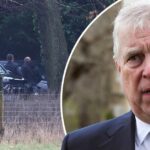 Andrew Mountbatten-Windsor preso