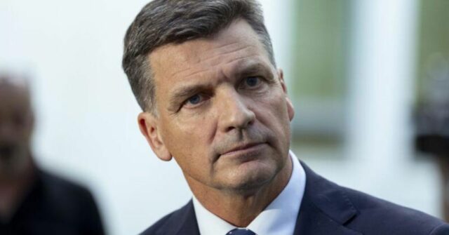 Angus Taylor sai vitorioso do derramamento de liderança liberal
