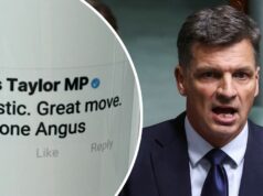 Antigo erro na mídia social está voltando para assombrar Angus Taylor Comentário de Angus Taylor na mídia social