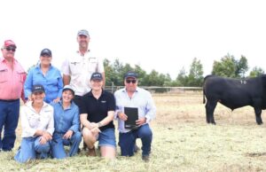 ‘Apoiado pela ciência, não pela ficção’ compensa com preços fortes na venda anual 'Apoiado pela ciência, não pela ficção' compensa com preços fortes na venda anual