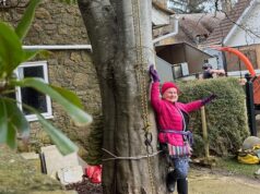 Aposentada momentânea, de 73 anos, amarra-se à amada árvore de 15 metros para salvá-la na briga com o vizinho por £ 800.000 em casa Apesar de cinco arboristas estarem no local, a Sra. Rogers permaneceu amarrada à árvore por duas horas e meia