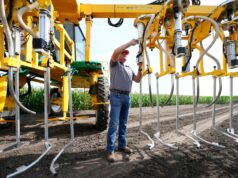 Appelbaum: O que substitui os trabalhadores imigrantes deportados? Não americanos. Appelbaum: O que substitui os trabalhadores imigrantes deportados? Não americanos.