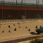 Aqui está a REAL razão pela qual a esquerda favorece uma fronteira aberta no sul dos EUA