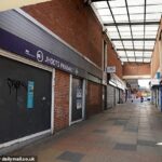 Dezenas de milhares de adultos em áreas de Birmingham estão recebendo pagamentos do estado, apesar de estarem aptos para trabalhar