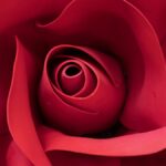 As ofertas de brinquedos sexuais para o Dia dos Namorados já estão esquentando. Economize até 85% em brinquedos famosos.