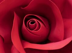 As ofertas de brinquedos sexuais para o Dia dos Namorados já estão esquentando. Economize até 85% em brinquedos famosos. As ofertas de brinquedos sexuais para o Dia dos Namorados já estão esquentando. Economize até 85% em brinquedos famosos.