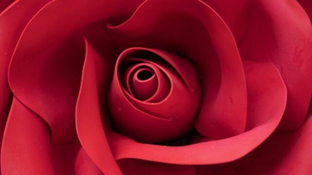 As ofertas de brinquedos sexuais para o Dia dos Namorados já estão esquentando. Economize até 85% em brinquedos famosos.
