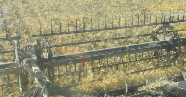 As principais reduções de custos de insumos que os agricultores estão almejando antes da nova temporada
