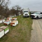 Assalto à colmeia termina com prisão de homem em Sacramento