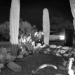 Atualização de Nancy Guthrie: 12 carros vistos no dia do sequestro pela câmera do vizinho