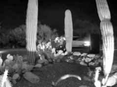 Atualização de Nancy Guthrie: 12 carros vistos no dia do sequestro pela câmera do vizinho Atualização de Nancy Guthrie: 12 carros vistos no dia do sequestro pela câmera do vizinho