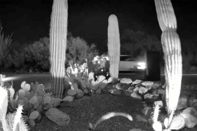 Atualização de Nancy Guthrie: 12 carros vistos no dia do sequestro pela câmera do vizinho
