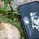 Atualização de Nancy Guthrie: nova pista sobre quem está por trás do desaparecimento