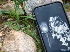 Atualização de Nancy Guthrie: nova pista sobre quem está por trás do desaparecimento Atualização de Nancy Guthrie: nova pista sobre quem está por trás do desaparecimento