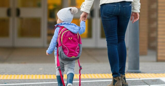 Vista traseira de uma jovem mãe alegre segurando a mão da filha enquanto caminhava na faixa de pedestres até a escola da criança.