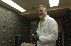 ‘Banco’ único de fungos canadense salvo por fundação familiar Ícone de conversão de texto em fala