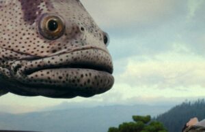 Black Mandala e Red Owl definem oito títulos de gênero para EFM (EXCLUSIVO) Black Mandala e Red Owl definem oito títulos de gênero para EFM (EXCLUSIVO)