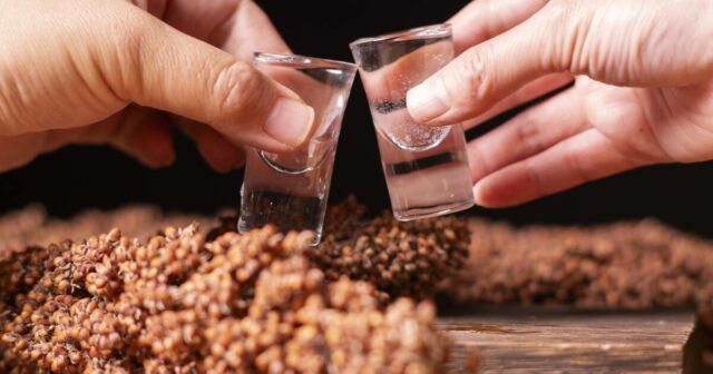 Boom de Baijiu: a demanda chinesa por bebidas espirituosas isola o sorgo da queda do preço dos grãos
