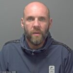 Scott Hyam, 39, foi preso no mês passado por 15 semanas depois de negar a acusação de roubo, mas admitir agressão por espancamento.