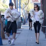 Brooklyn Beckham e Nicola Peltz combinam suas roupas – e seus cachorros – em um passeio por Los Angeles