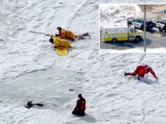 Busca suspensa por marido que caiu no gelo com a esposa em Cape Cod O corpo de uma mulher foi recuperado por uma equipe de mergulho, mas seu marido continua desaparecido.