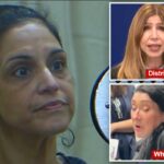 COO acusado de roubar US$ 132 mil em dinheiro público e gastar dinheiro em cirurgia plástica, Disneylândia entra com apelo