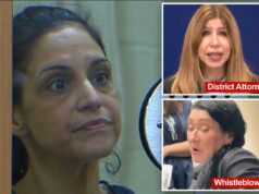 COO acusado de roubar US$ 132 mil em dinheiro público e gastar dinheiro em cirurgia plástica, Disneylândia entra com apelo COO acusado de roubar US$ 132 mil em dinheiro público e gastar dinheiro em cirurgia plástica, Disneylândia entra com apelo