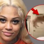 Abuso de cachorro de Aspen Kartier