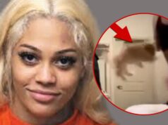 Cachorro do streamer Aspen Kartier recebendo pedidos de adoção, colocado em casa adotiva Abuso de cachorro de Aspen Kartier