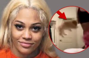 Cachorro do streamer Aspen Kartier recebendo pedidos de adoção, colocado em casa adotiva Abuso de cachorro de Aspen Kartier