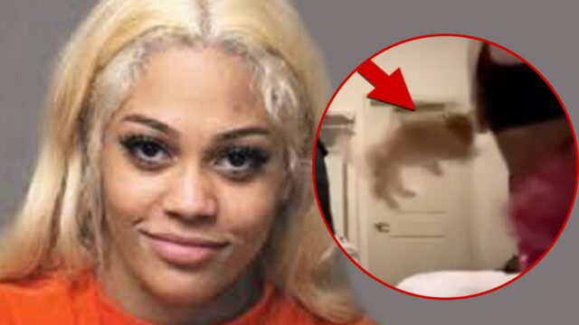 Abuso de cachorro de Aspen Kartier