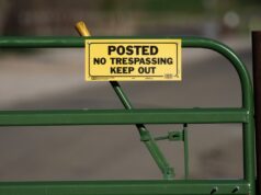 Cartas: Briga pelo portão levanta questões de serviço governamental Cartas: Briga pelo portão levanta questões de serviço governamental