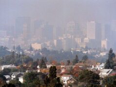 Cartas: Relatório ilegal do DOE sustenta a revogação da regra climática de Trump Cartas: Relatório ilegal do DOE sustenta a revogação da regra climática de Trump