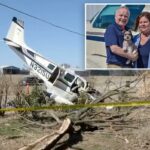 Casal piloto morre em acidente de avião causado por pára-brisa sujo – mas seu cachorro sobrevive