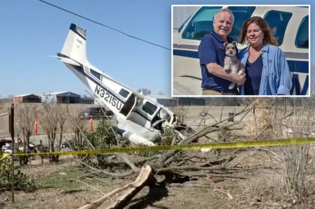 Casal piloto morre em acidente de avião causado por pára-brisa sujo – mas seu cachorro sobrevive
