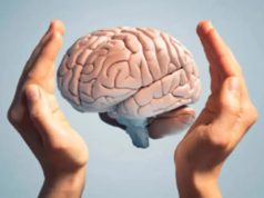 Cientistas encontram pista para a evolução do cérebro humano no comprimento dos dedos: Estudo Cientistas encontram pista para a evolução do cérebro humano no comprimento dos dedos: Estudo