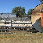 Como as quotas e tarifas “arcaicas” estão a atrasar os produtores australianos