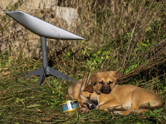 Como o corte dos terminais Starlink afeta os movimentos da Rússia na Ucrânia?
