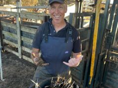 Como o veterinário de vacas do Colorado comprou suas ‘ideias loucas dos Yankees’ para Esperance Como o veterinário de vacas do Colorado comprou suas 'ideias loucas dos Yankees' para Esperance