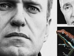 Como os cientistas britânicos encontraram o veneno de sapo de Putin – e expuseram um arsenal químico secreto O oponente de longa data de Putin, Alexei Navalny (à esquerda), morreu na prisão em 2024.