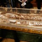 Conjunto de ossos atraindo centenas de milhares de pessoas para uma pequena cidade italiana