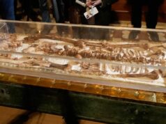 Conjunto de ossos atraindo centenas de milhares de pessoas para uma pequena cidade italiana Conjunto de ossos atraindo centenas de milhares de pessoas para uma pequena cidade italiana