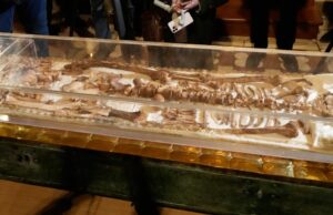 Conjunto de ossos atraindo centenas de milhares de pessoas para uma pequena cidade italiana Conjunto de ossos atraindo centenas de milhares de pessoas para uma pequena cidade italiana