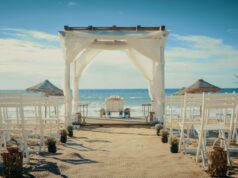 Convidados não estão prontos para temas de eventos de casamento ‘incrivelmente ricos’: ‘desastre’ Casamento tropical na praia com palmeiras.